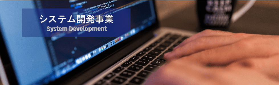 システム開発事業スライド